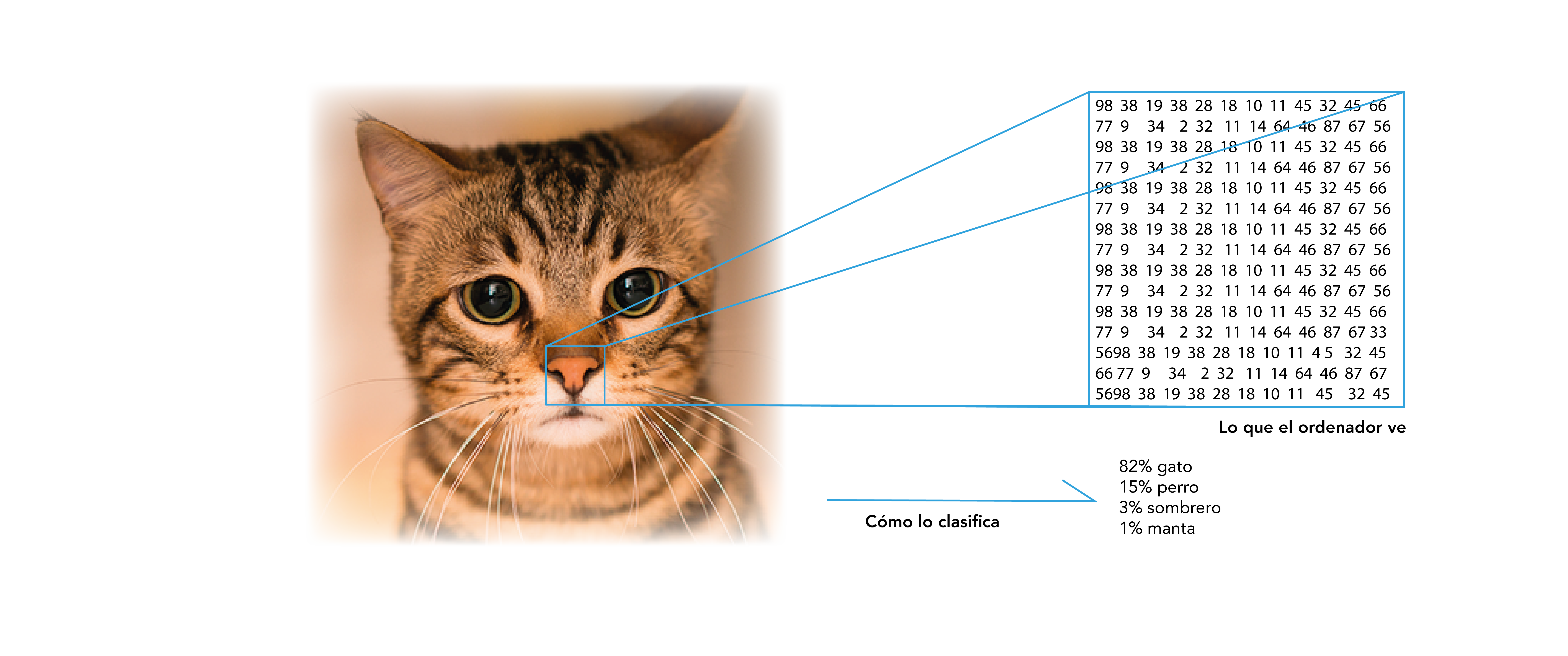 Deep Learning para el conocimiento de imágenes en sanidad