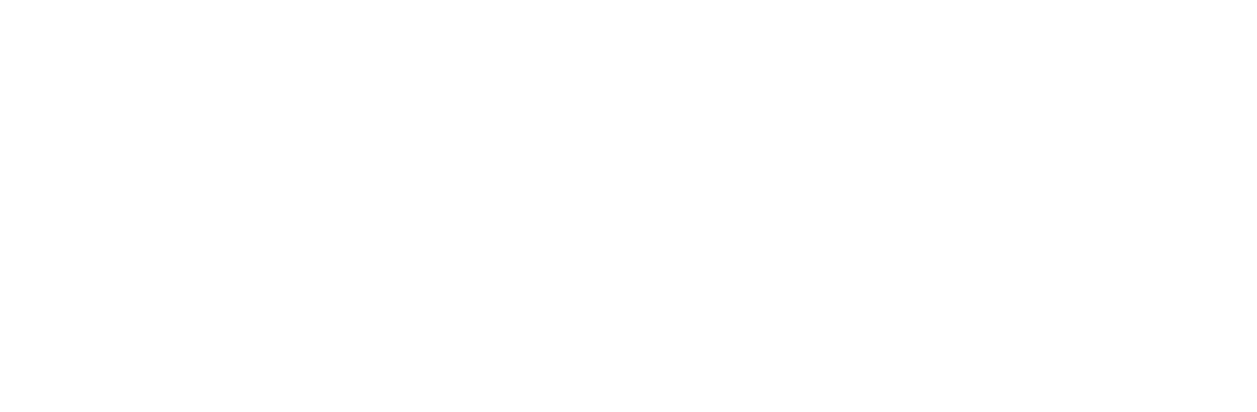 Sigesa 30 Años Sigesa 30 Años
