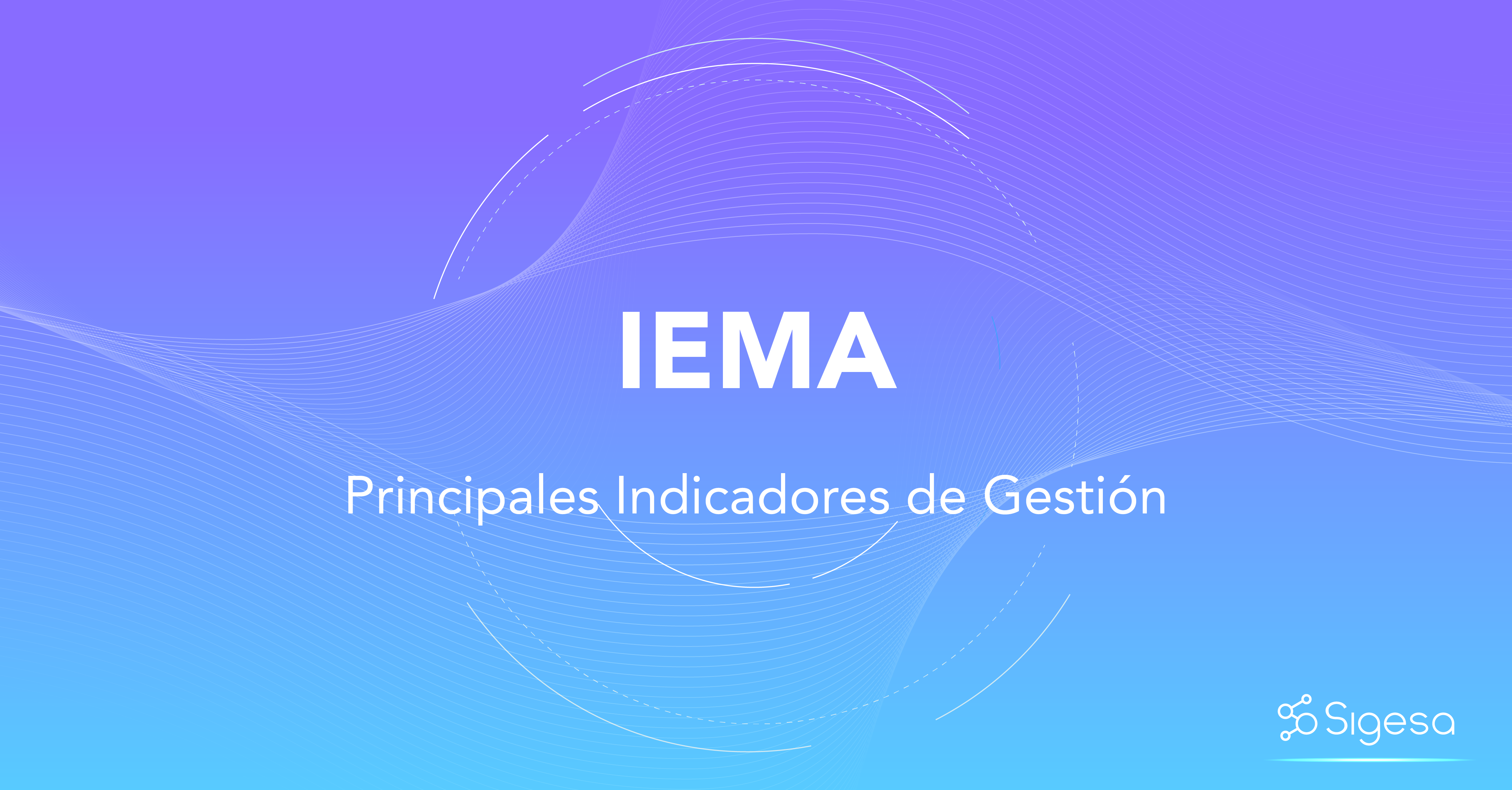 IEMA (Índice de Estancia Media Ajustada)