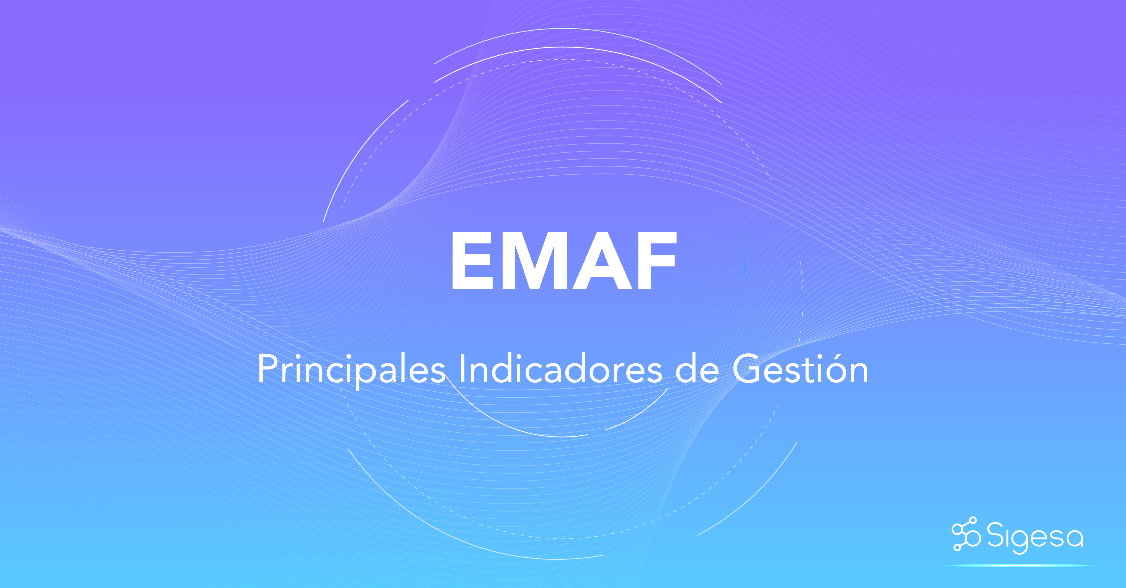 EMAF (Estancia Media Ajustada por Funcionamiento)